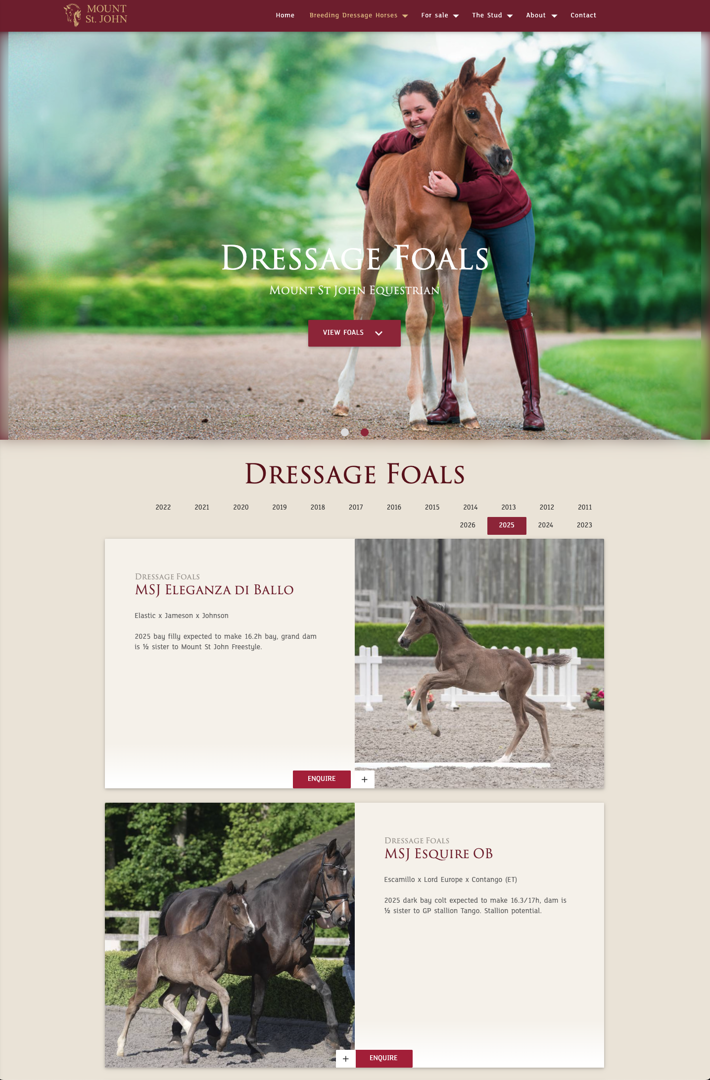 Mount St John website